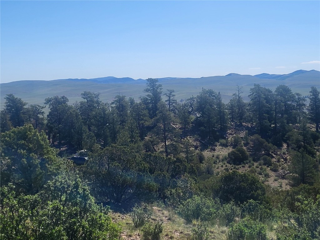 0 Castle Rock Road Hartsel, CO 80449 - Photo 17 of 28 Gallery Image 17