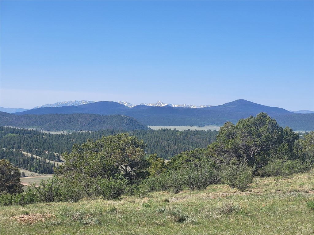 0 Castle Rock Road Hartsel, CO 80449 - Photo 2 of 28 Gallery Image 2