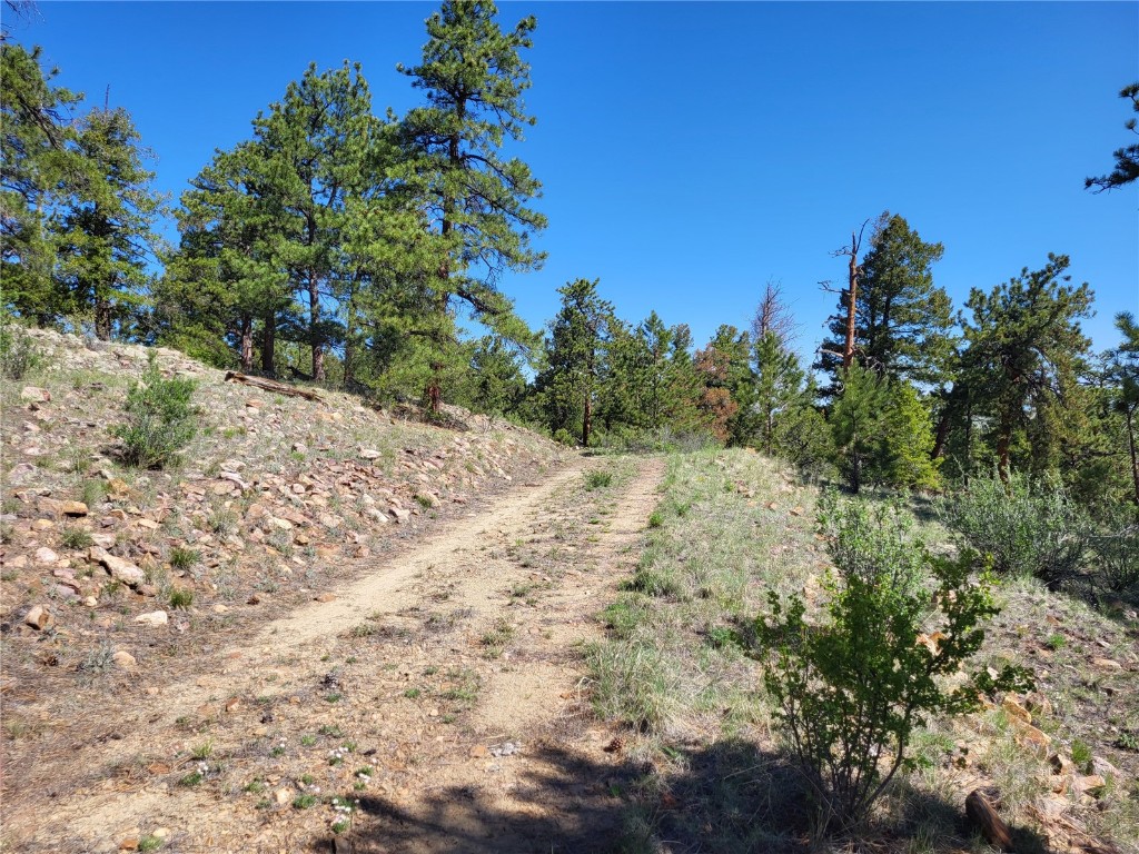 0 Castle Rock Road Hartsel, CO 80449 - Photo 24 of 28 Roughed in Driveway