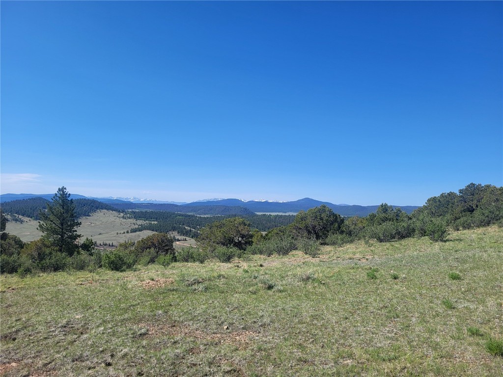0 Castle Rock Road Hartsel, CO 80449 - Photo 3 of 28 Gallery Image 3