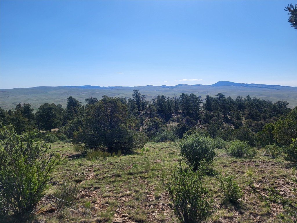 0 Castle Rock Road Hartsel, CO 80449 - Photo 5 of 28 Gallery Image 5