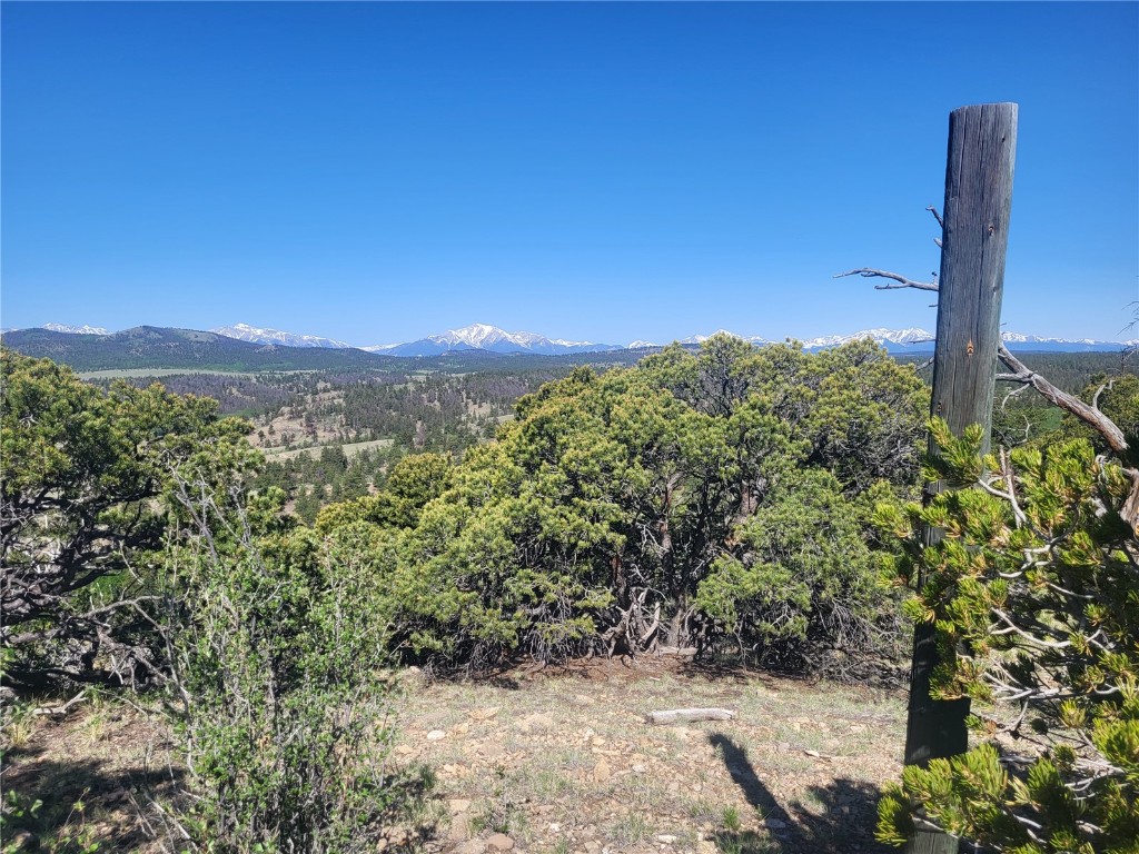 0 Castle Rock Road Hartsel, CO 80449 - Photo 6 of 28 Gallery Image 6