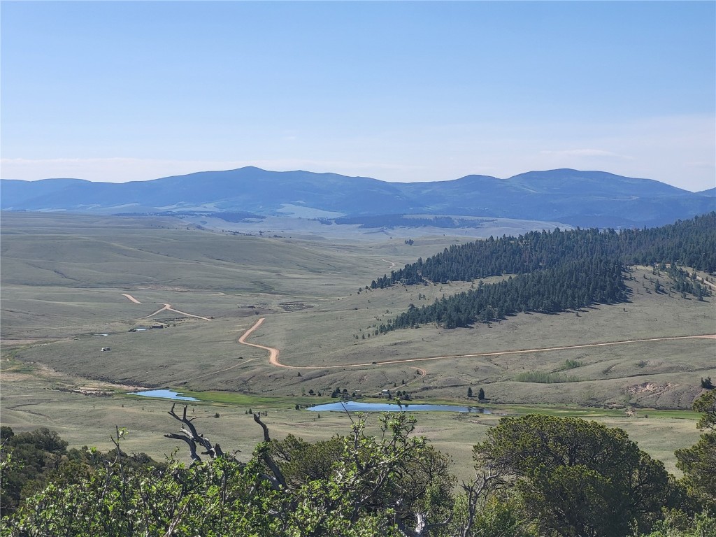 0 Castle Rock Road Hartsel, CO 80449 - Photo 7 of 28 Gallery Image 7