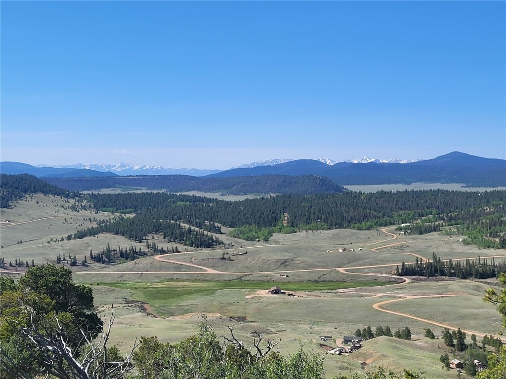 0 Castle Rock Road Hartsel, CO 80449 - Photo 8 of 28 Gallery Image 8