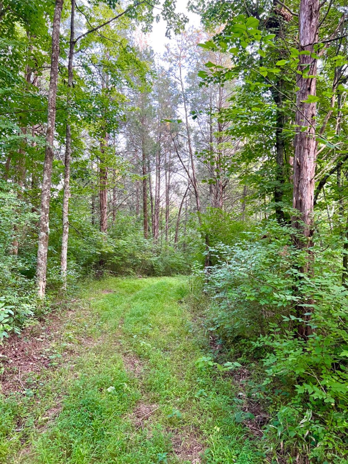 6960 Straight Creek Road Georgetown, OH 45121 - Photo 69 of 93