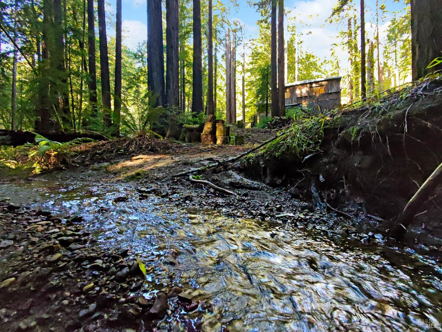 Headwaters of Salmon Creek flow through this forested gem ~