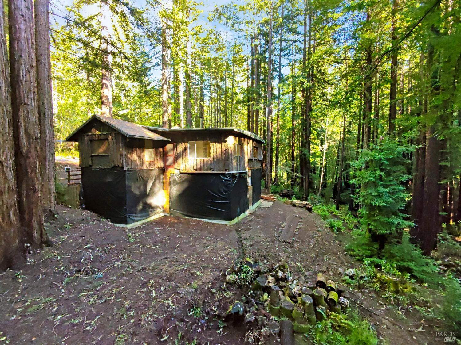 16125 Bittner Road Occidental, CA 95465 - Photo 12 of 31