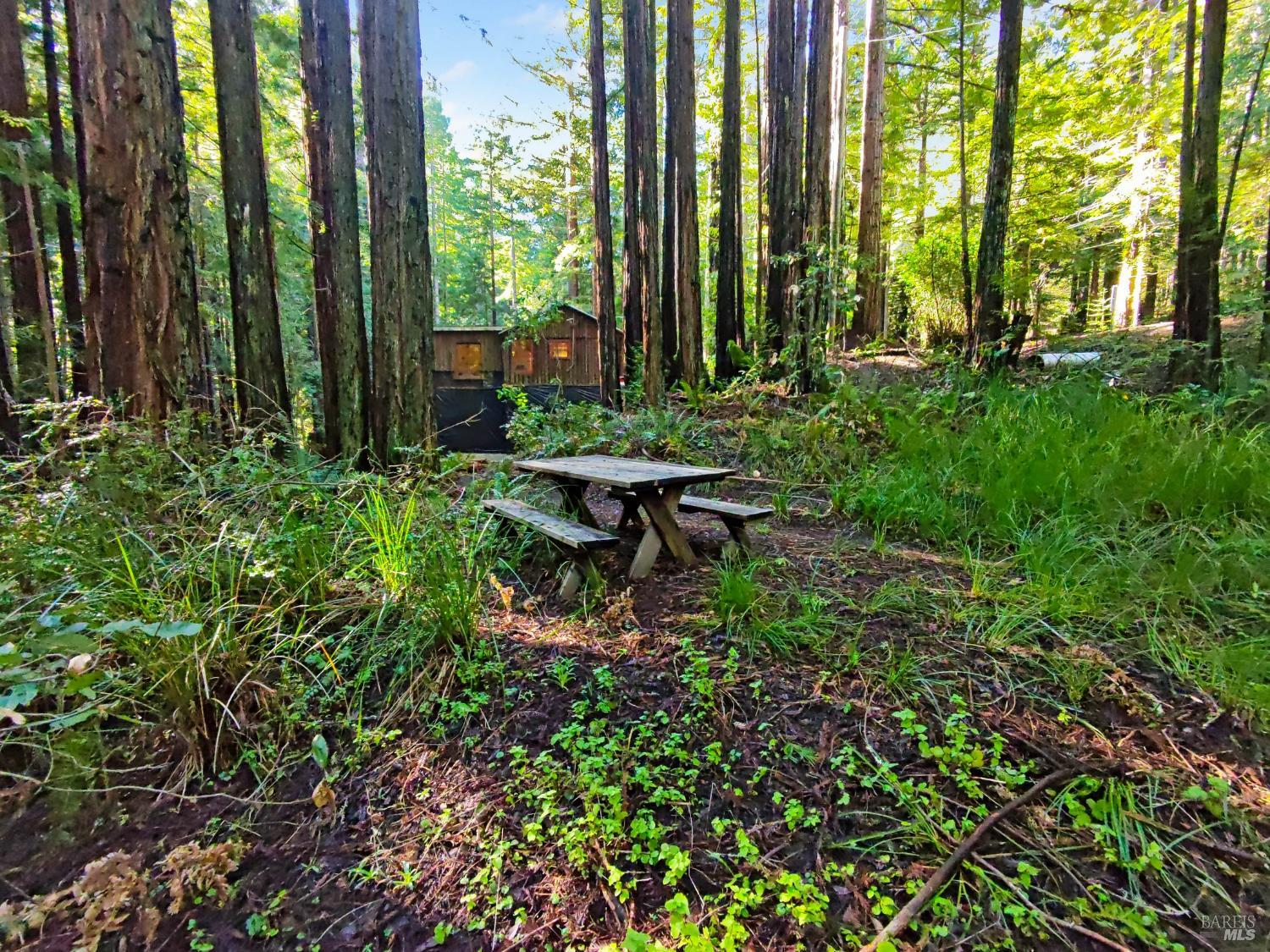 16125 Bittner Road Occidental, CA 95465 - Photo 13 of 31