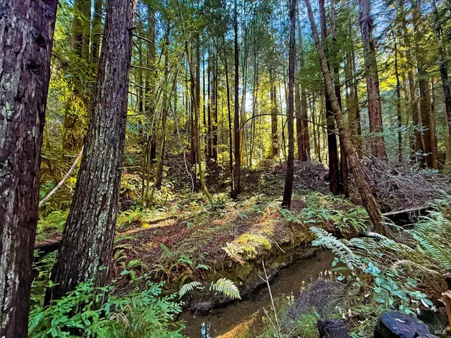 $769,000 | 16125 Bittner Road, Occidental, CA 95465