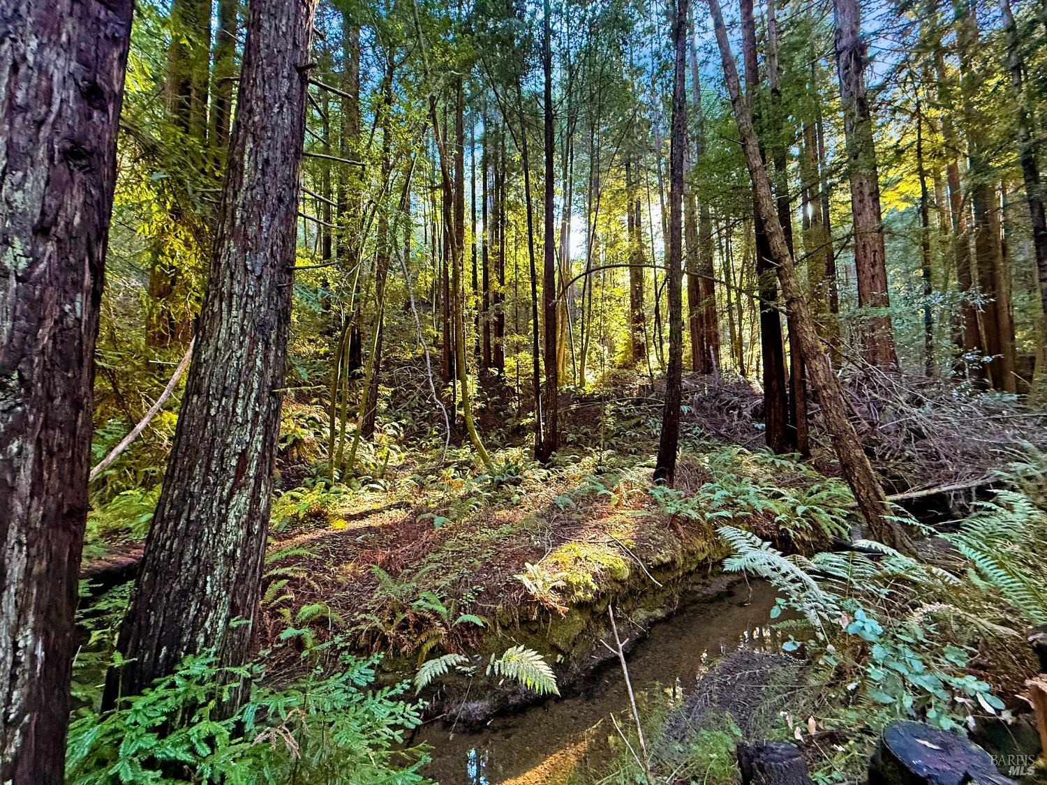 16125 Bittner Road Occidental, CA 95465 - Photo 18 of 31