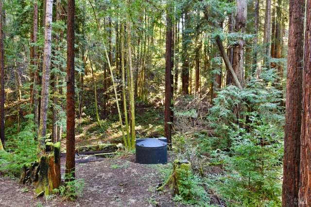 $769,000 | 16125 Bittner Road, Occidental, CA 95465