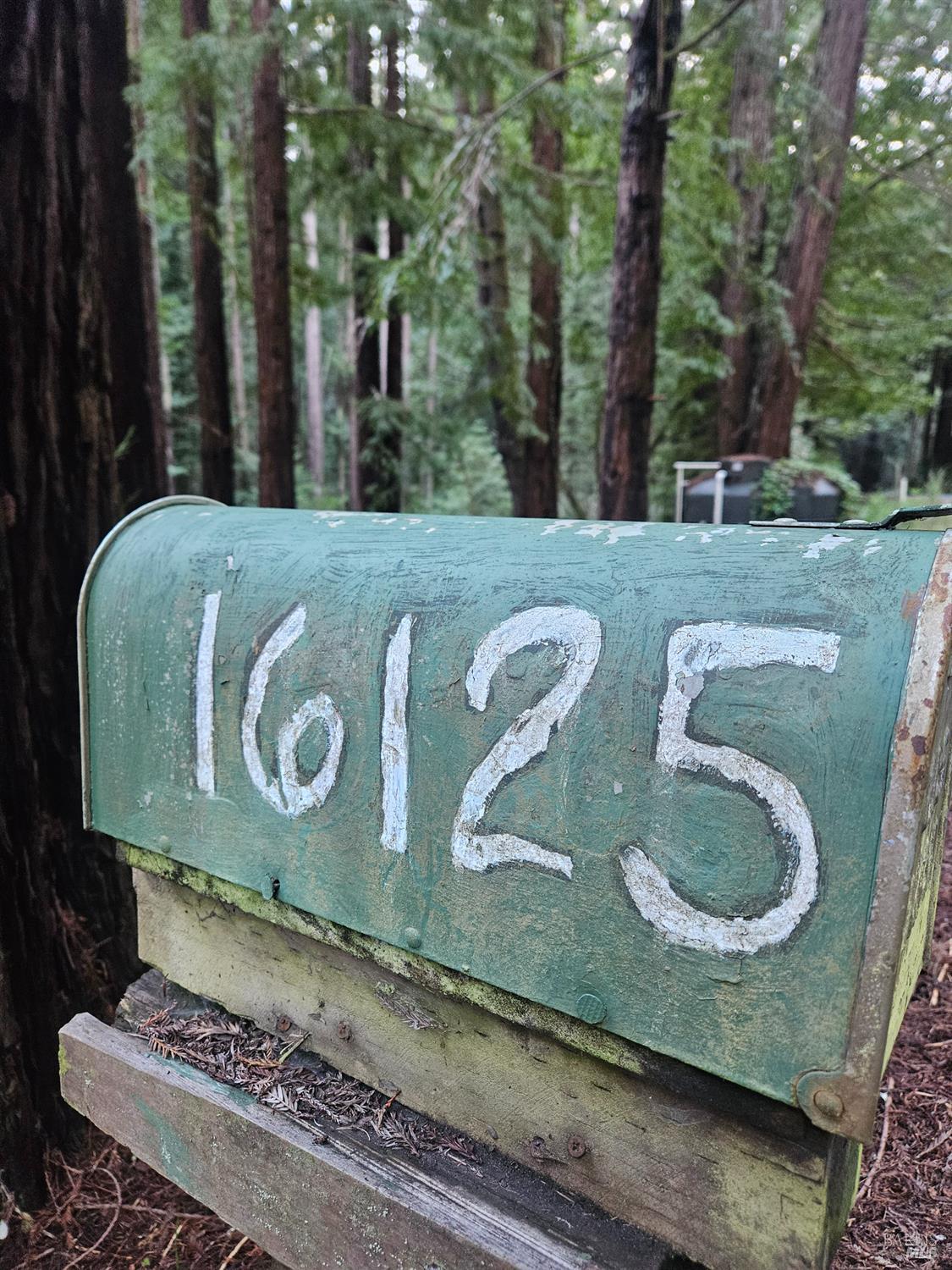 16125 Bittner Road Occidental, CA 95465 - Photo 29 of 31