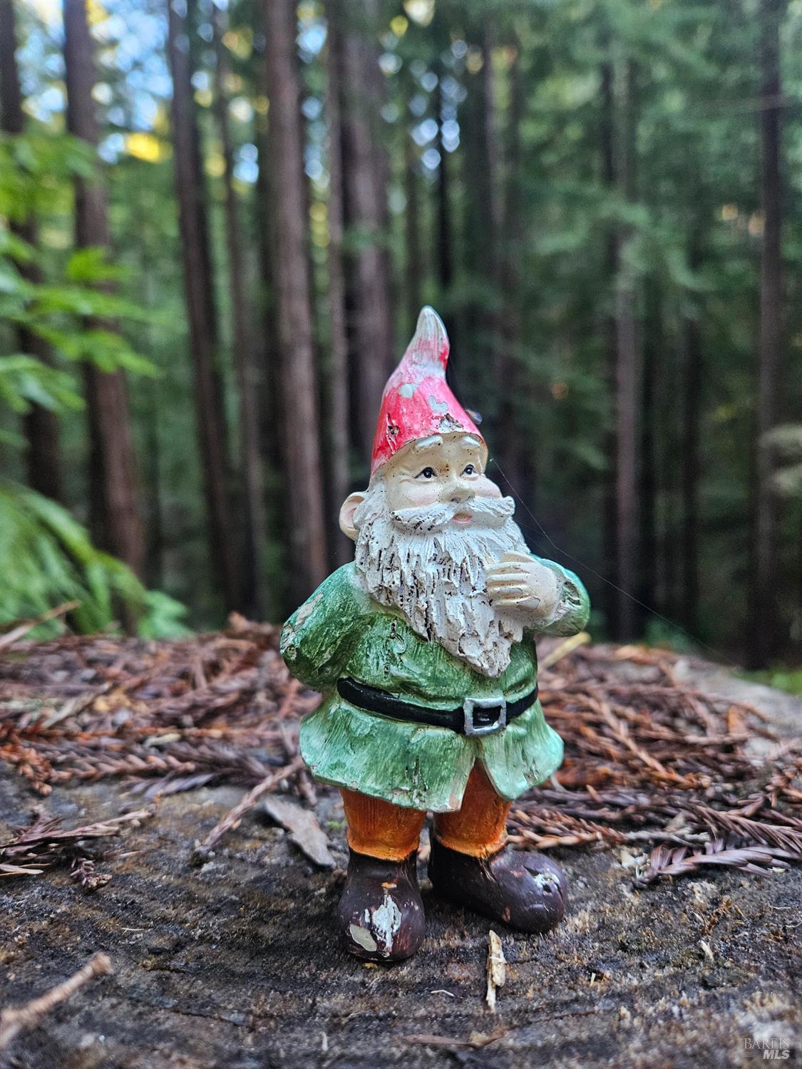 16125 Bittner Road Occidental, CA 95465 - Photo 30 of 31 Welcome ~