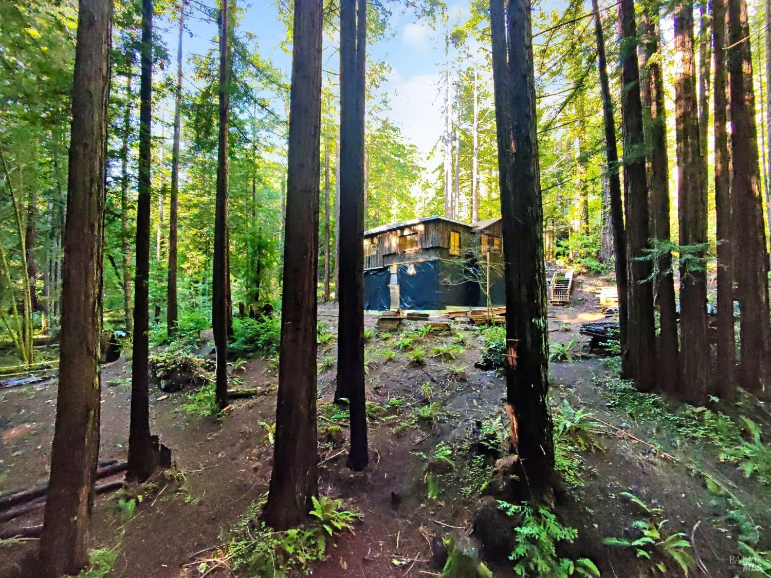 16125 Bittner Road Occidental, CA 95465 - Photo 3 of 31