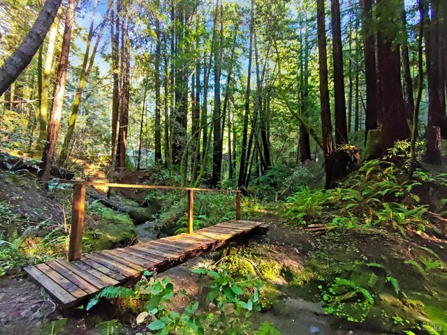 $769,000 | 16125 Bittner Road, Occidental, CA 95465