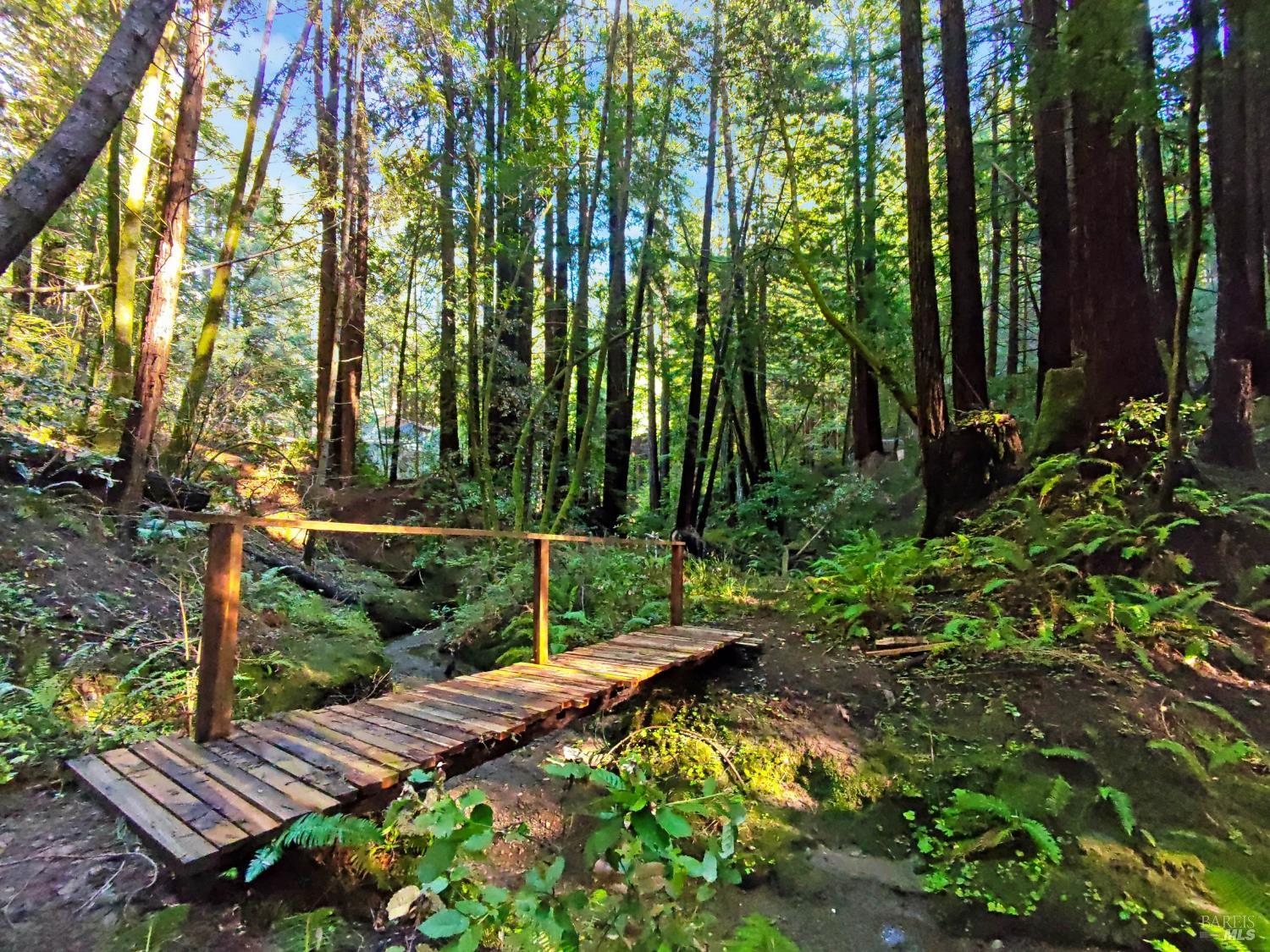 16125 Bittner Road Occidental, CA 95465 - Photo 5 of 31 3 sweet footbridges over the creek offer access to ferns and layered forest vignettes that lead to a private hiking trail.