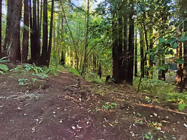 $769,000 | 16125 Bittner Road, Occidental, CA 95465