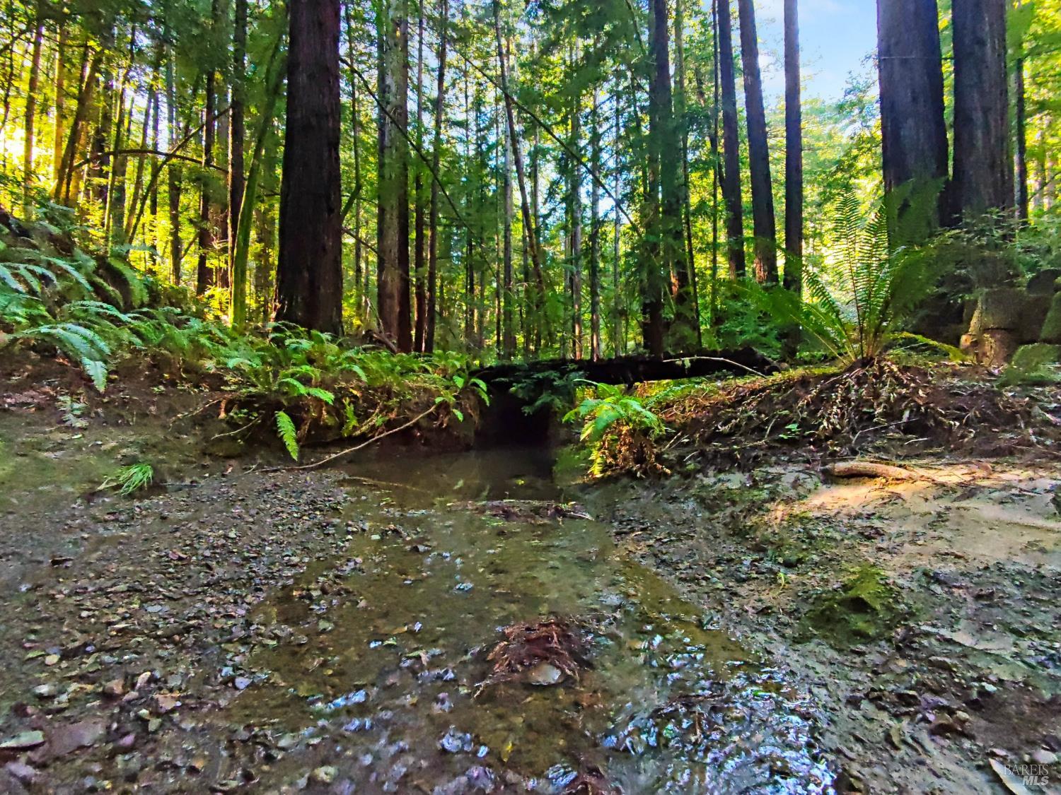 16125 Bittner Road Occidental, CA 95465 - Photo 8 of 31