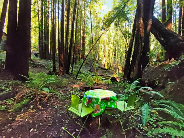 $769,000 | 16125 Bittner Road, Occidental, CA 95465