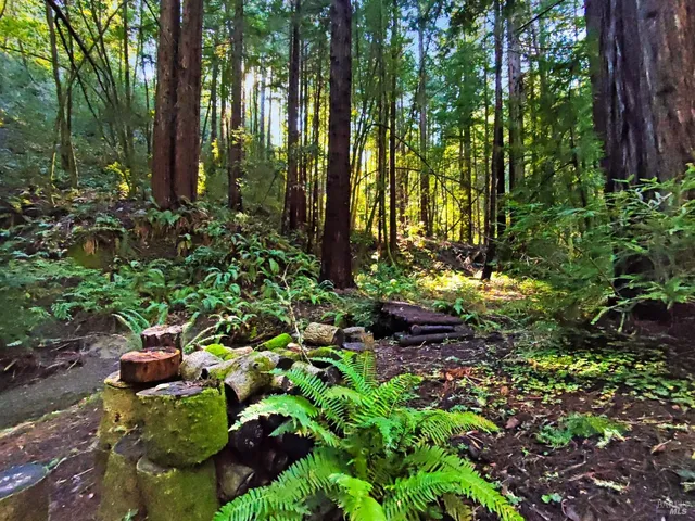 $769,000 | 16125 Bittner Road, Occidental, CA 95465