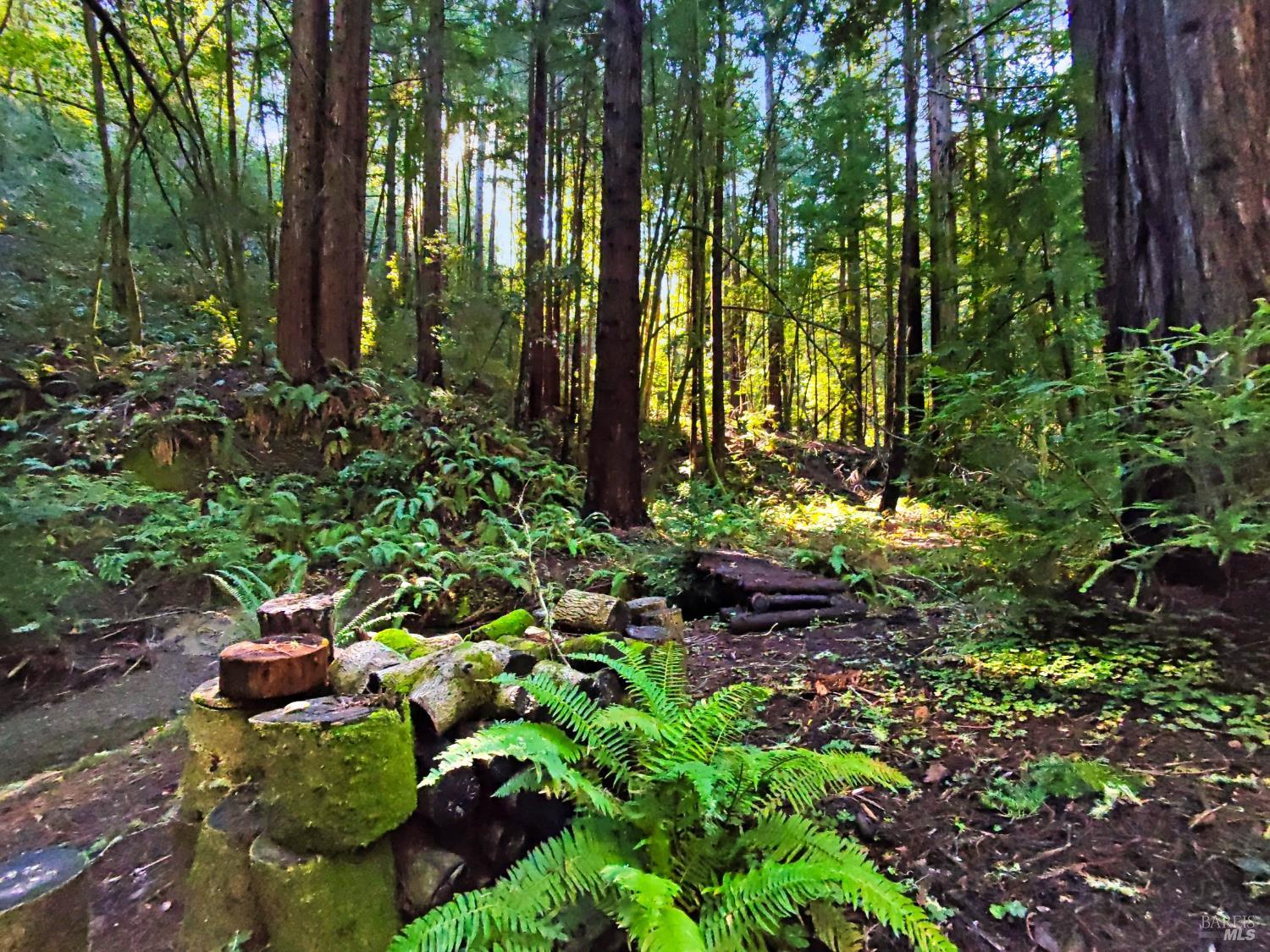 16125 Bittner Road Occidental, CA 95465 - Photo 10 of 31