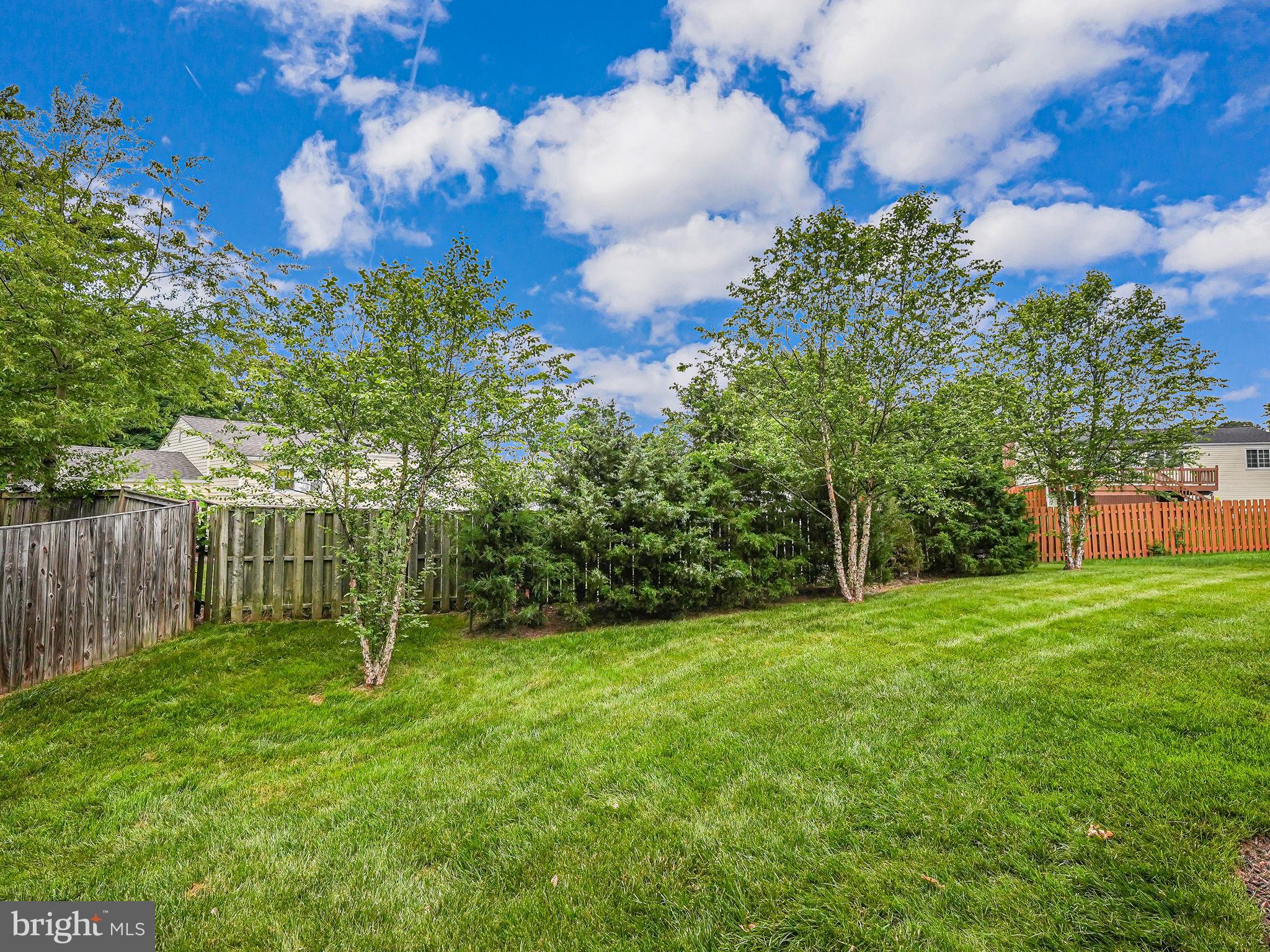 7003 Bedrock Road Alexandria, VA 22306 - Photo 35 of 56 Gallery Image 35