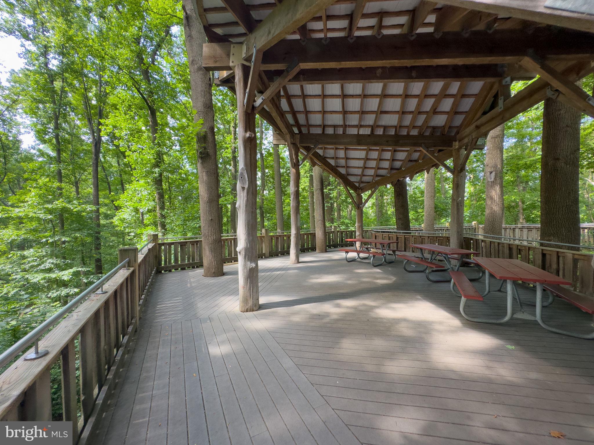 7003 Bedrock Road Alexandria, VA 22306 - Photo 41 of 56 Gallery Image 41