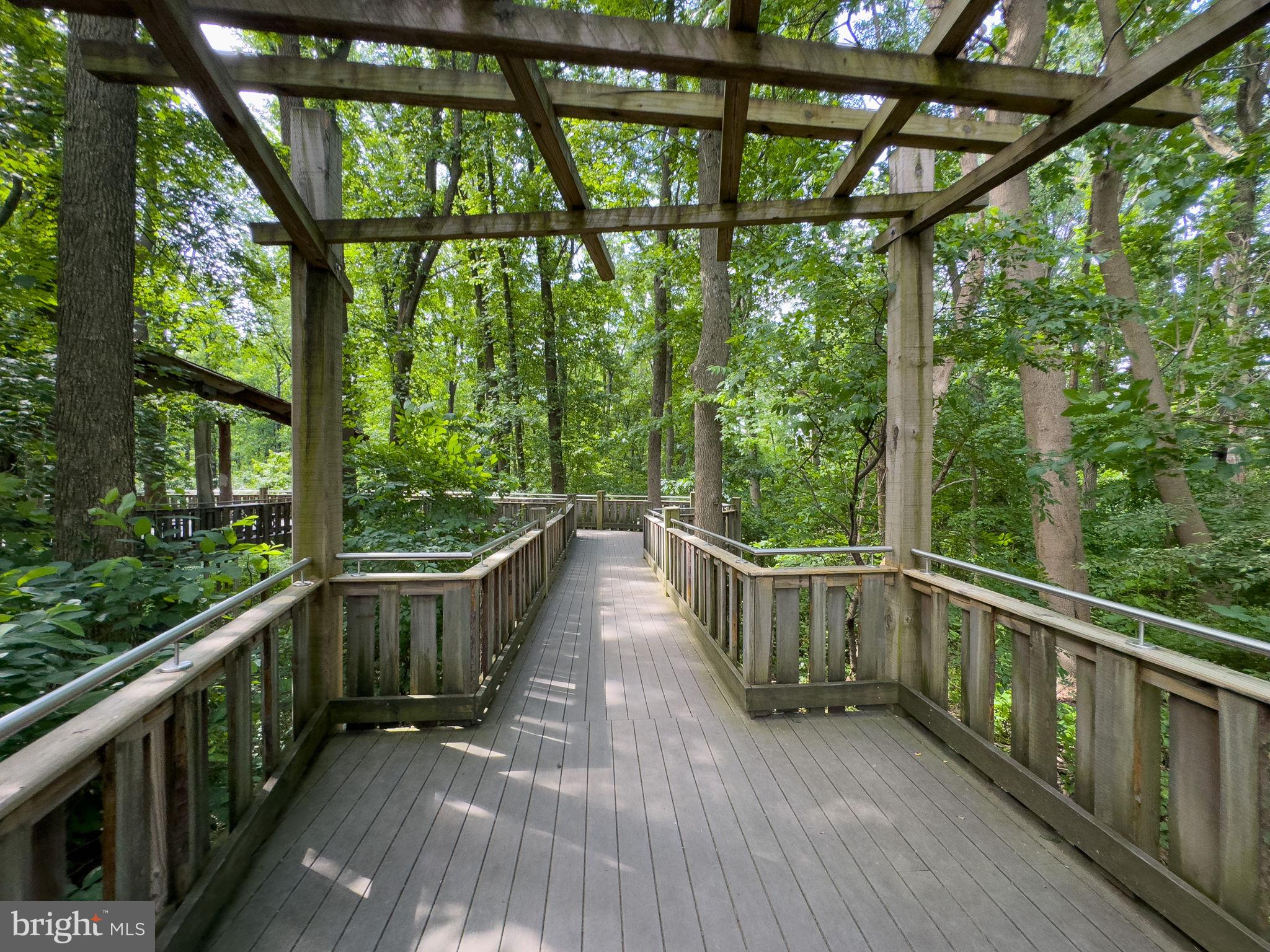 7003 Bedrock Road Alexandria, VA 22306 - Photo 42 of 56 Gallery Image 42