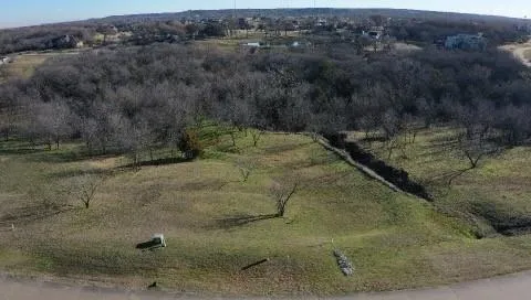 a view of a dry yard with green space