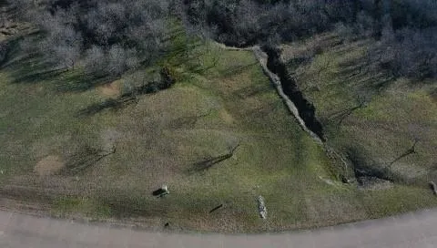 a view of a dry yard