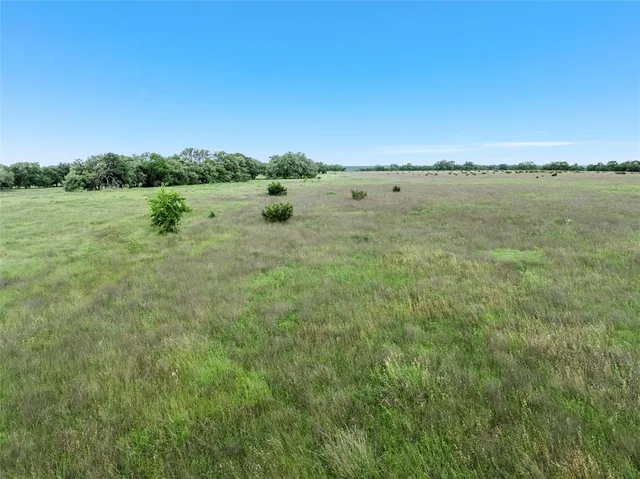 a view of a field with an ocean