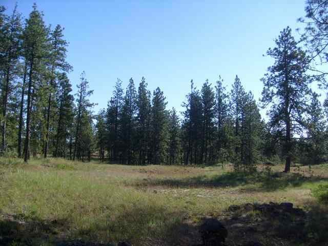 Xx West Pine Ridge Lane Cheney, WA 99004 - Photo 2 of 6 Gallery Image 2