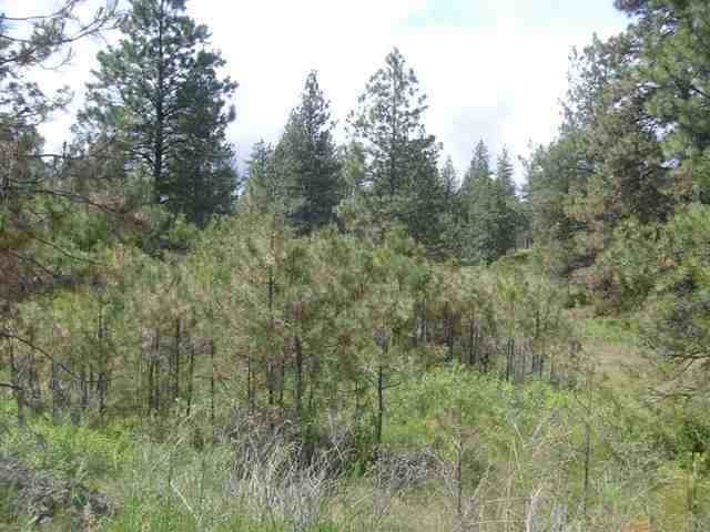 Xx West Pine Ridge Lane Cheney, WA 99004 - Photo 3 of 6 Gallery Image 3