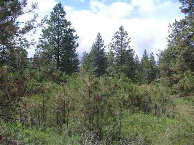 Xx West Pine Ridge Lane Cheney, WA 99004 - Photo 4 of 6 Gallery Image 4