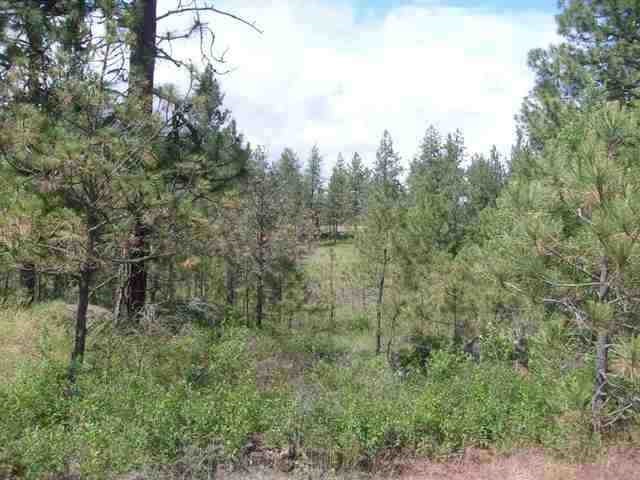 Xx West Pine Ridge Lane Cheney, WA 99004 - Photo 5 of 6 Gallery Image 5