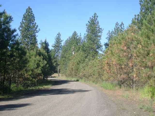 Xx West Pine Ridge Lane Cheney, WA 99004 - Photo 6 of 6 Gallery Image 6