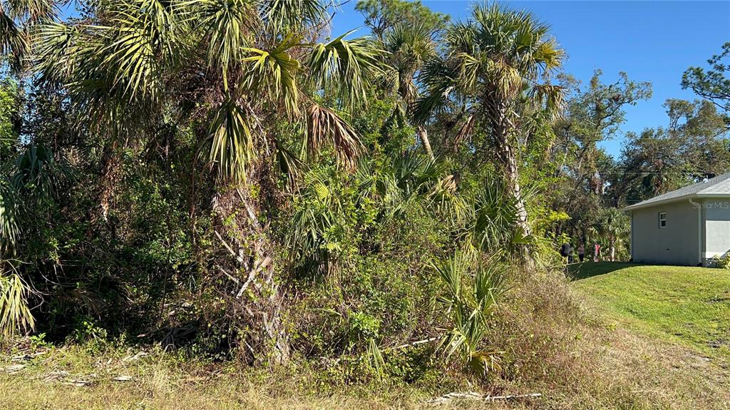 Easter Ter Port North Port, FL 34286 - Photo 3 of 5 a view of a yard with plants and trees