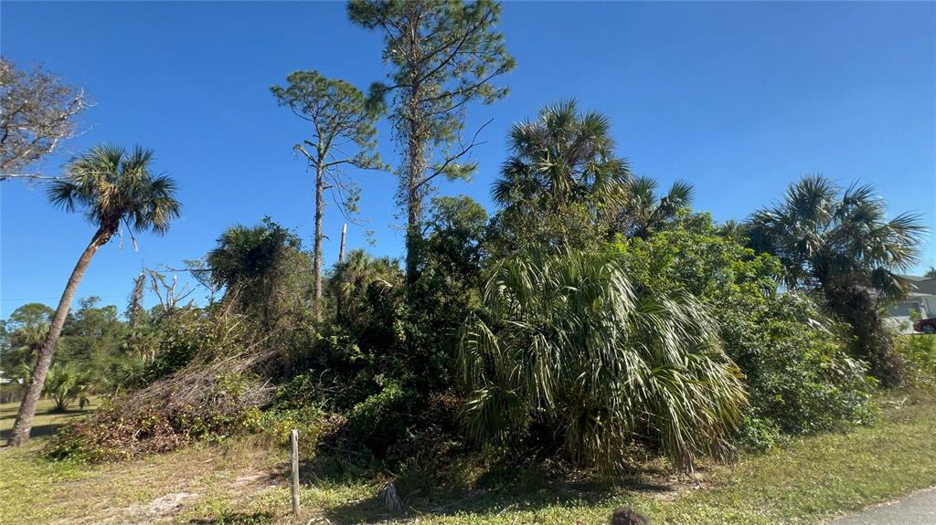 Easter Ter Port North Port, FL 34286 - Photo 4 of 5 a plant that is in front of a building