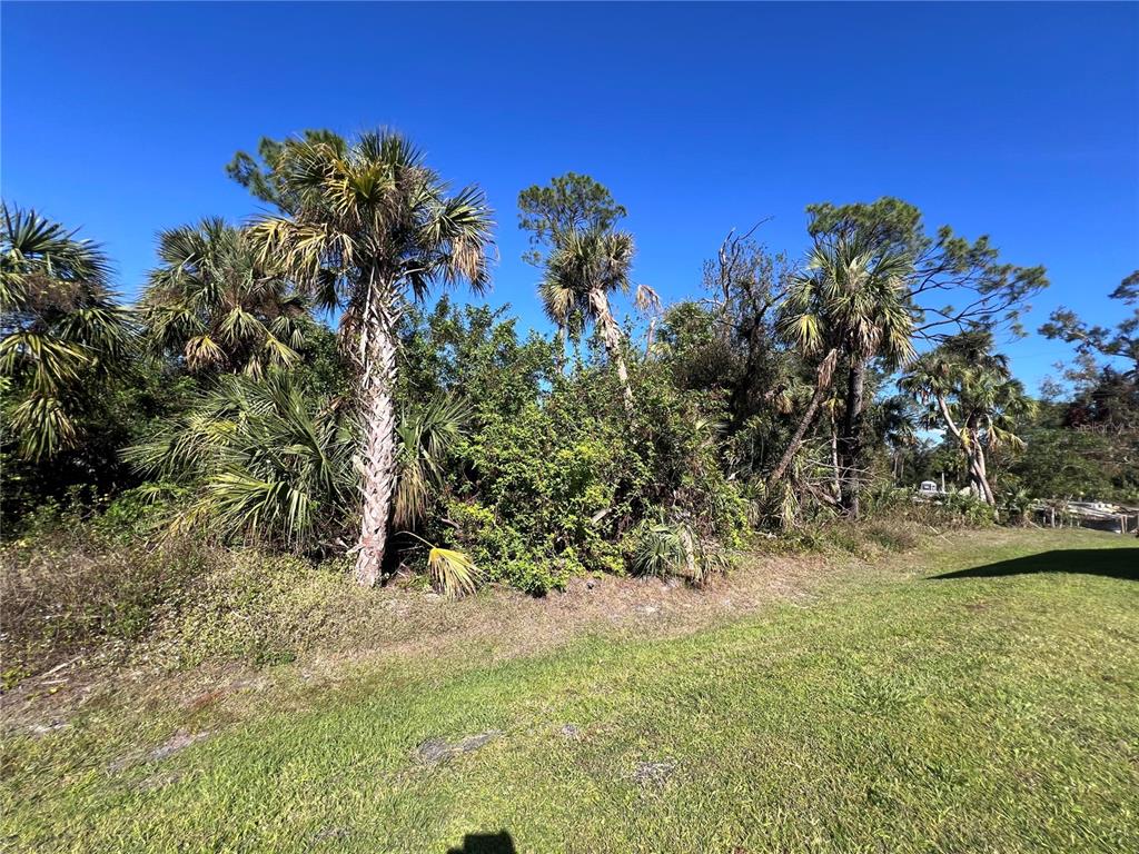 Easter Ter Port North Port, FL 34286 - Photo 5 of 5 a view of a yard with a tree