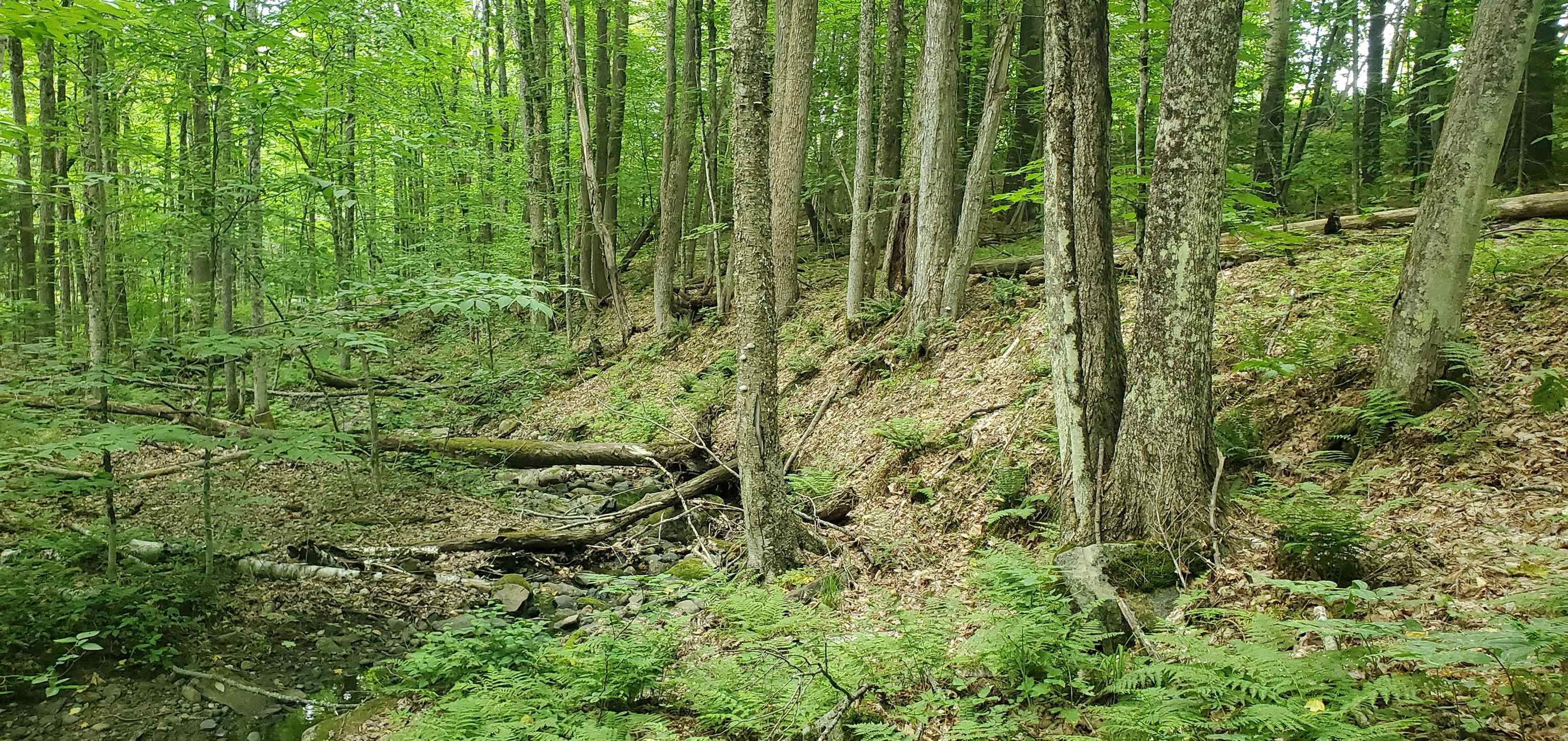 420 Gale Chandler Road Landaff, NH 03585 - Photo 15 of 28