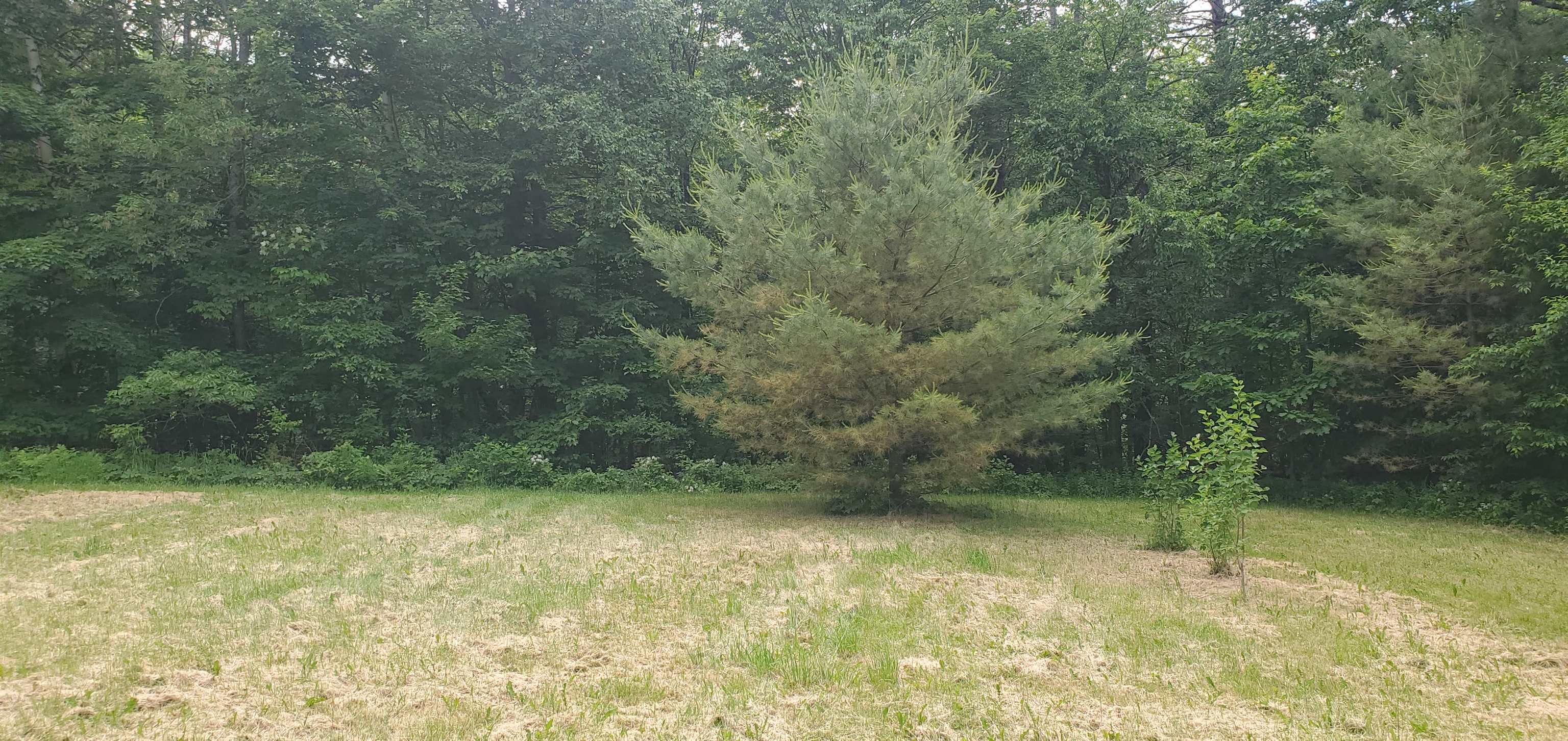 420 Gale Chandler Road Landaff, NH 03585 - Photo 17 of 28