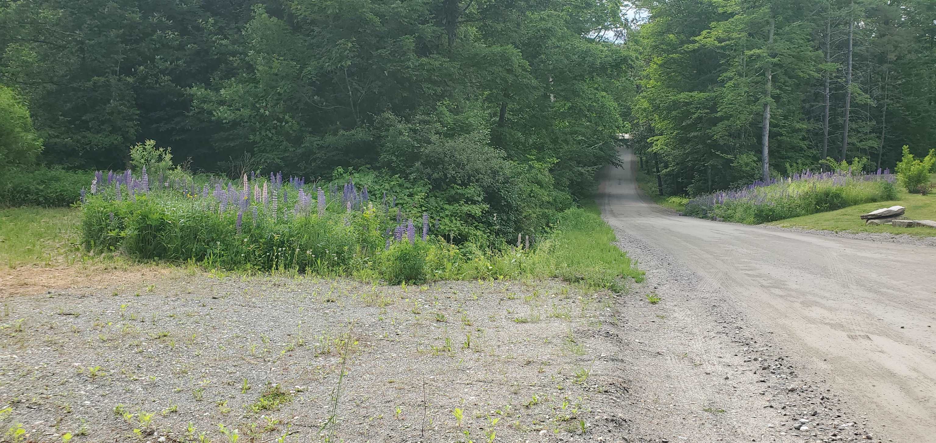 420 Gale Chandler Road Landaff, NH 03585 - Photo 5 of 28