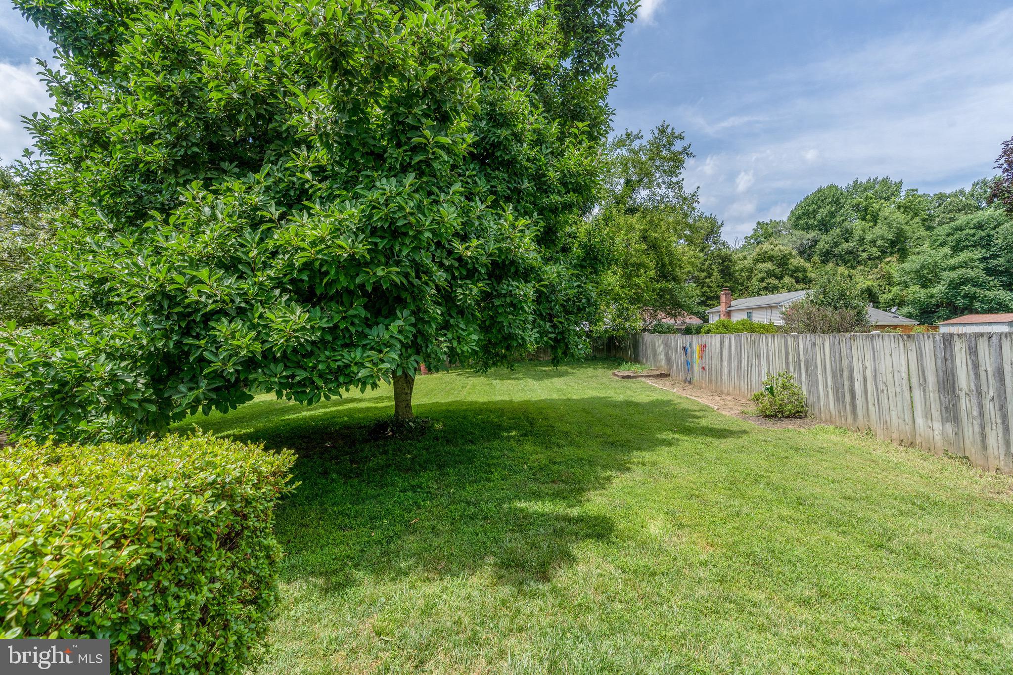 3529 Olympic Street Silver Spring, MD 20906 - Photo 23 of 31