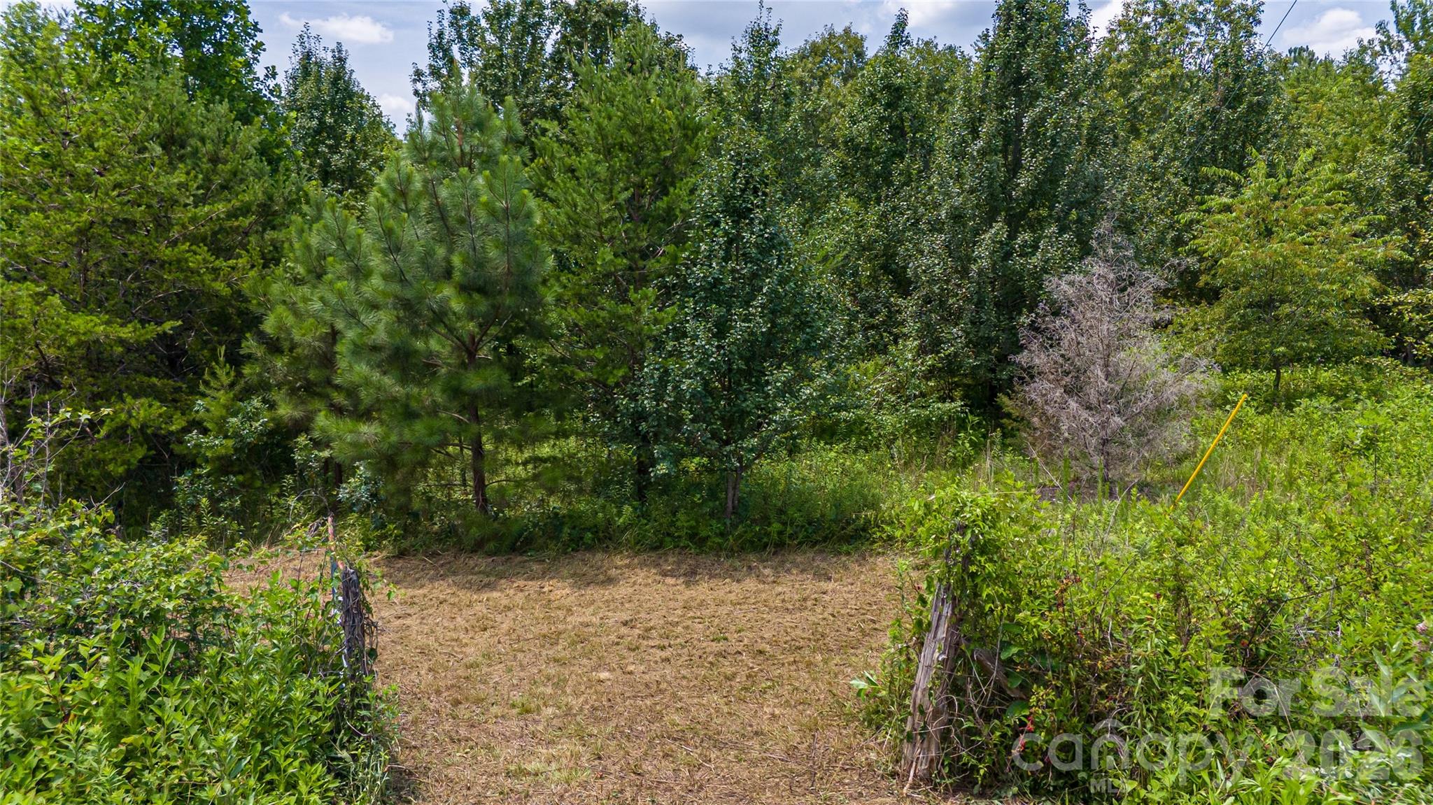 0 Gold Mine Road Morganton, NC 28655 - Photo 10 of 21