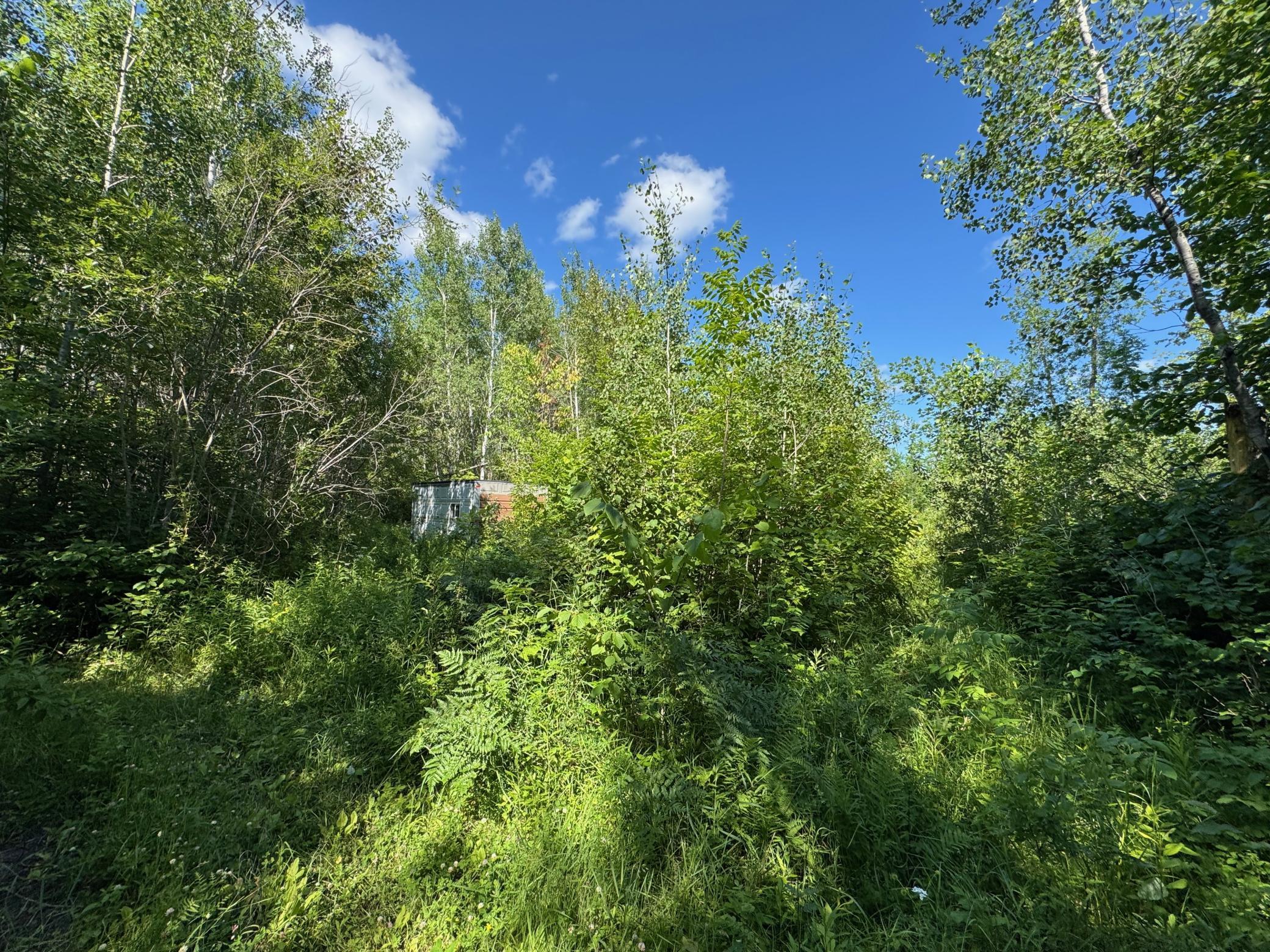 40 A Bridgie Road Northome, MN 56661 - Photo 1 of 10