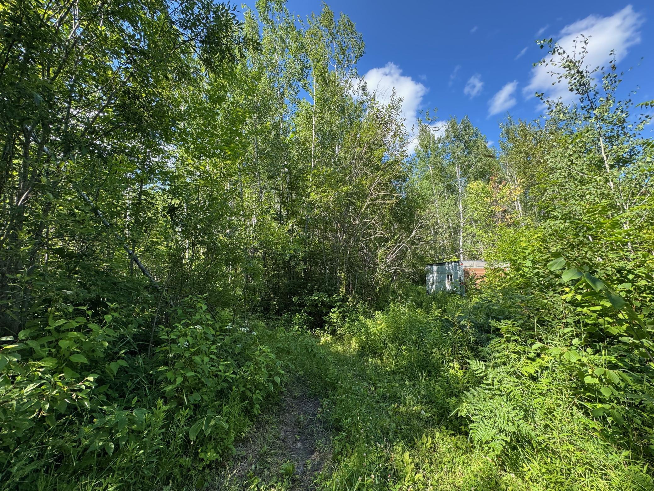 40 A Bridgie Road Northome, MN 56661 - Photo 2 of 10