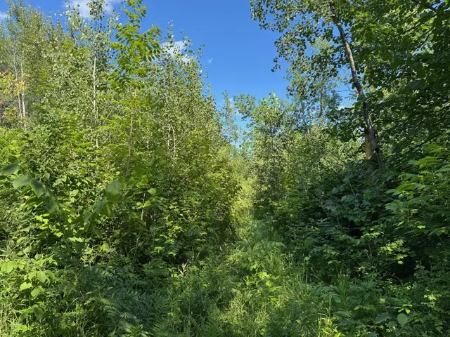 $84,900 | 40 A Bridgie Road, Northome, MN 56661