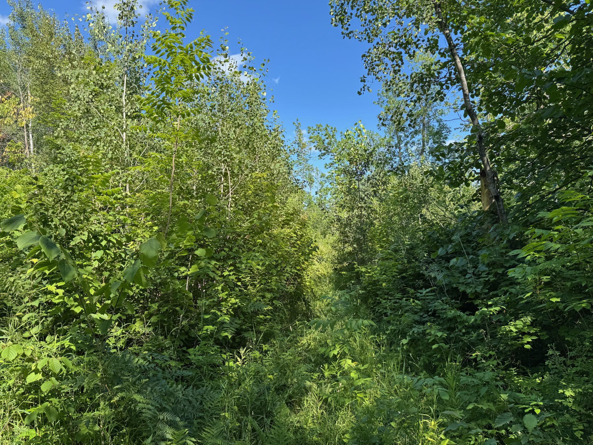 40 A Bridgie Road Northome, MN 56661 - Photo 3 of 10