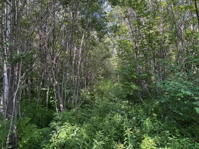 $84,900 | 40 A Bridgie Road, Northome, MN 56661