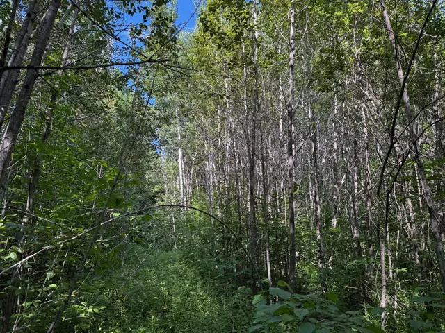 $84,900 | 40 A Bridgie Road, Northome, MN 56661